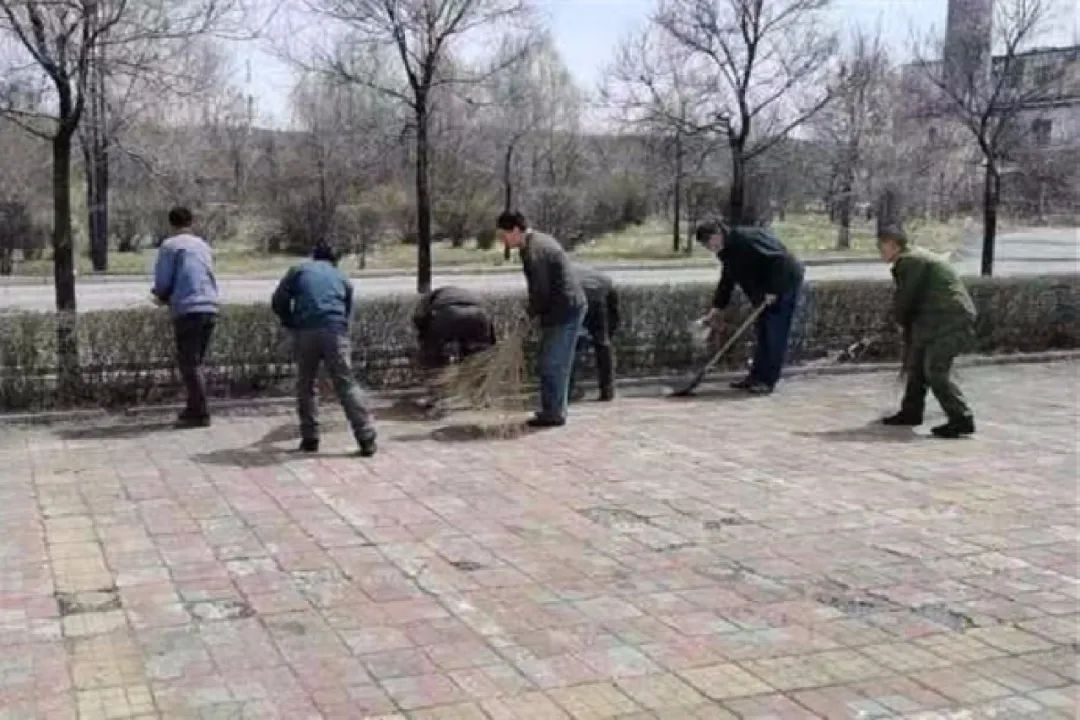 695.jpg